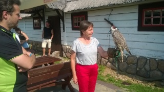  (photo)
