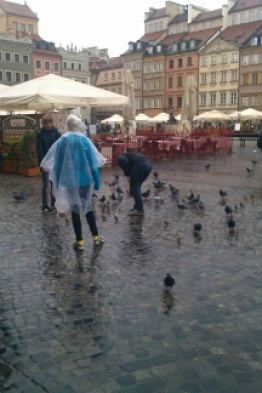  (photo)