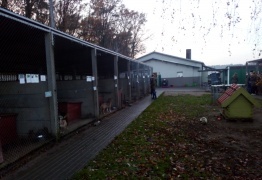  (photo)