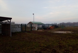  (photo)