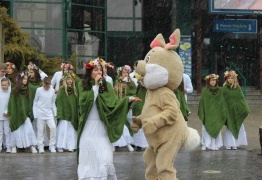  (photo)