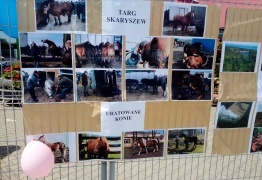  (photo)