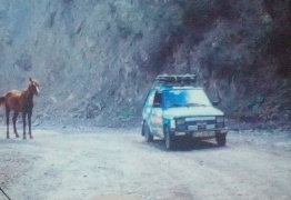  (photo)