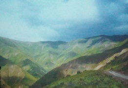  (photo)