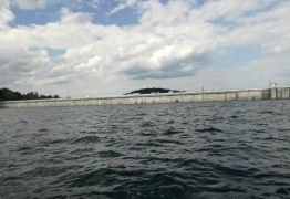  (photo)