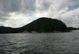  (photo)
