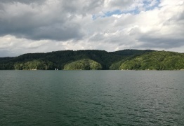  (photo)