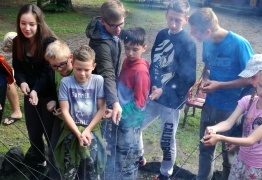  (photo)