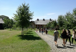  (photo)