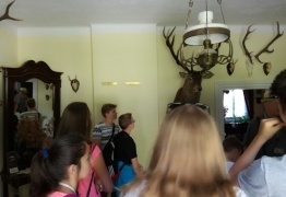  (photo)