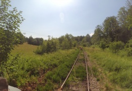  (photo)