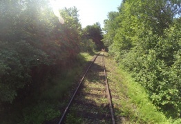  (photo)
