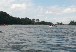  (photo)