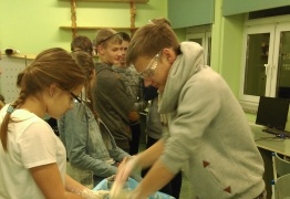  (photo)