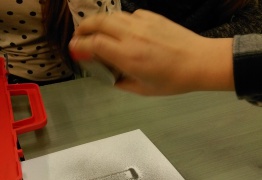  (photo)