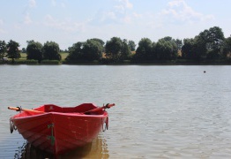  (photo)