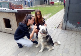  (photo)