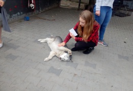  (photo)