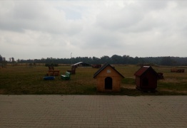  (photo)