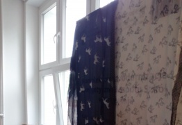  (photo)