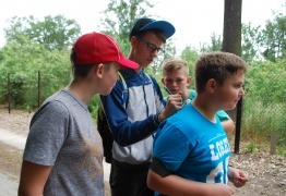  (photo)
