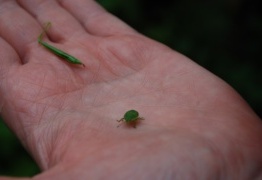  (photo)