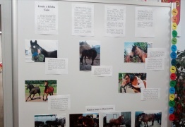  (photo)