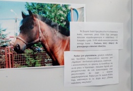  (photo)