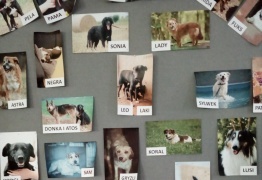  (photo)