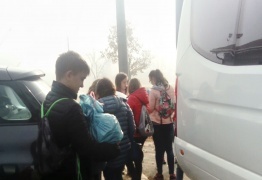  (photo)