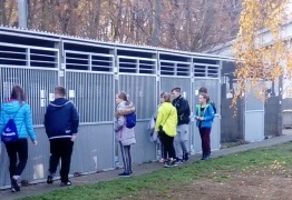  (photo)