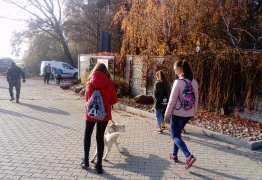  (photo)