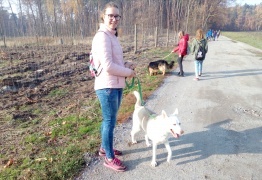  (photo)