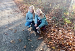  (photo)
