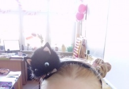  (photo)