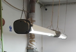  (photo)