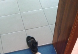  (photo)