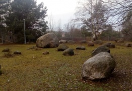  (photo)