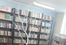  (photo)