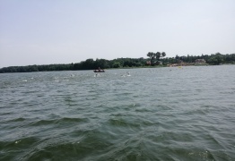  (photo)