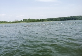  (photo)