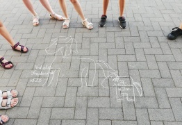  (photo)