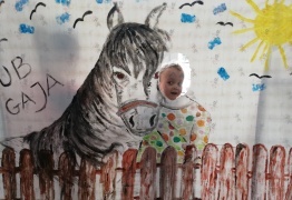  (photo)