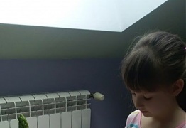  (photo)