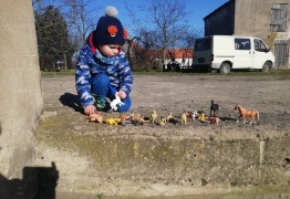  (photo)