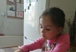  (photo)