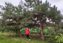  (photo)