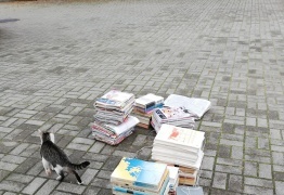  (photo)