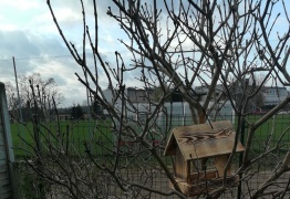  (photo)