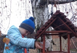  (photo)